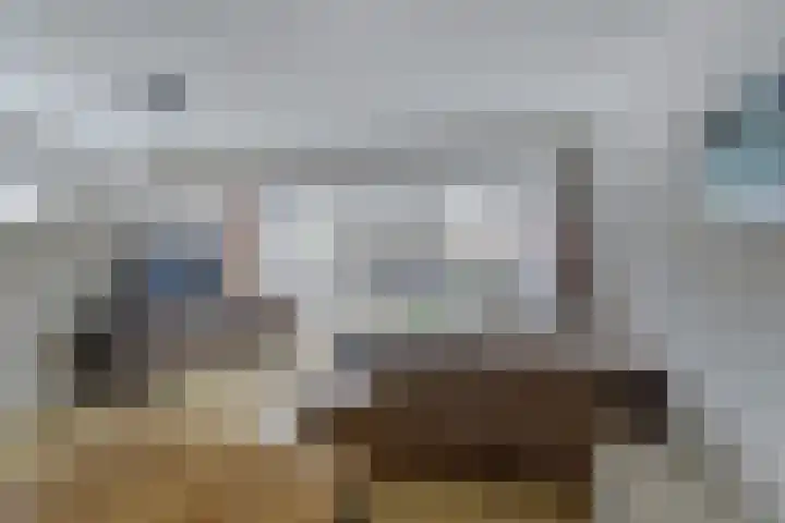 Alpherwetering 55 Waddinxveen thumbnail 8