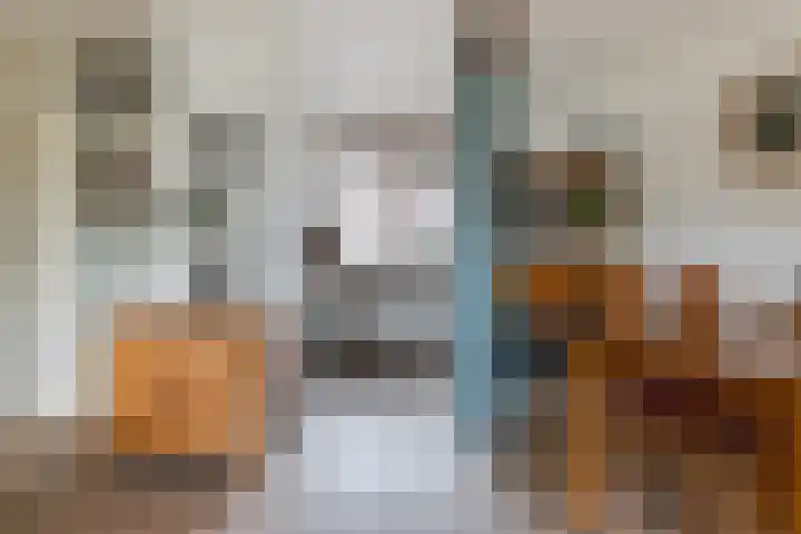 Alpherwetering 8 Waddinxveen thumbnail 10