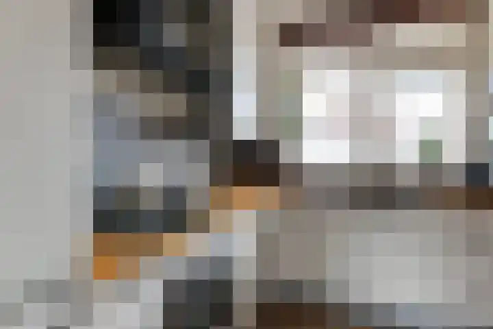 Alpherwetering 8 Waddinxveen thumbnail 12