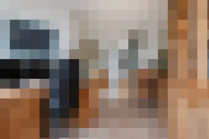 Alpherwetering 8 Waddinxveen thumbnail 16