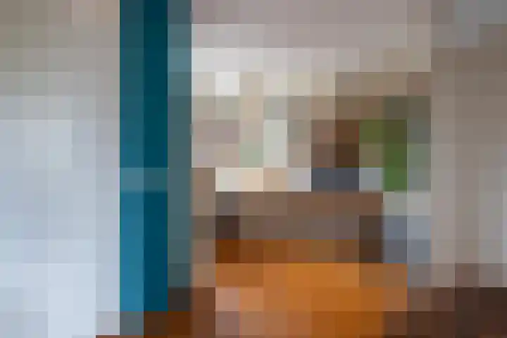 Alpherwetering 8 Waddinxveen thumbnail 19