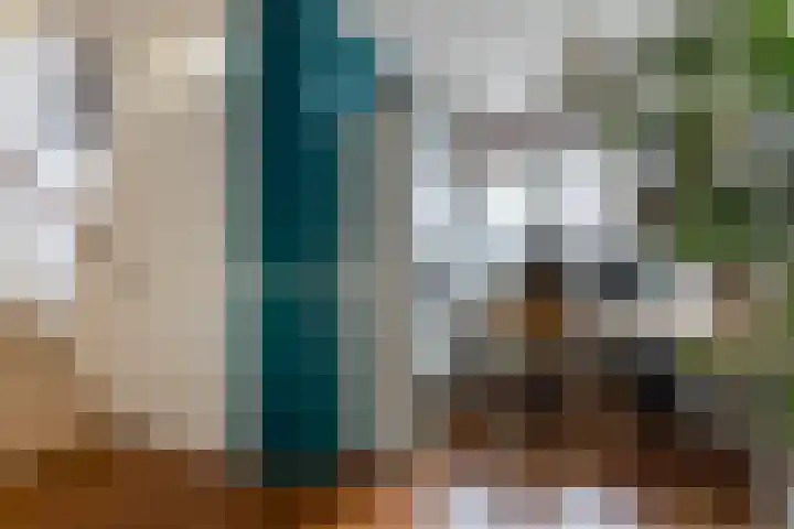 Alpherwetering 8 Waddinxveen thumbnail 20