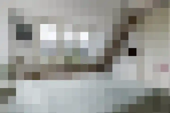 Alpherwetering 8 Waddinxveen thumbnail 23