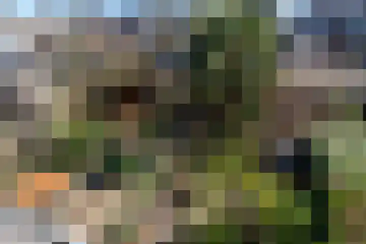 Alpherwetering 8 Waddinxveen thumbnail 25