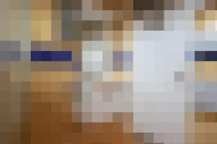 Alpherwetering 8 Waddinxveen thumbnail 27