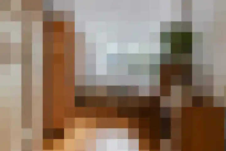 Alpherwetering 8 Waddinxveen thumbnail 29