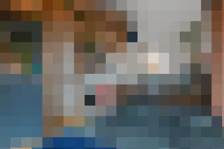 Alpherwetering 8 Waddinxveen thumbnail 33