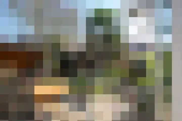 Alpherwetering 8 Waddinxveen thumbnail 36