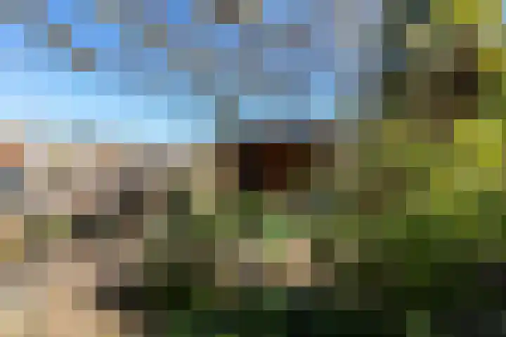 Alpherwetering 8 Waddinxveen thumbnail 37