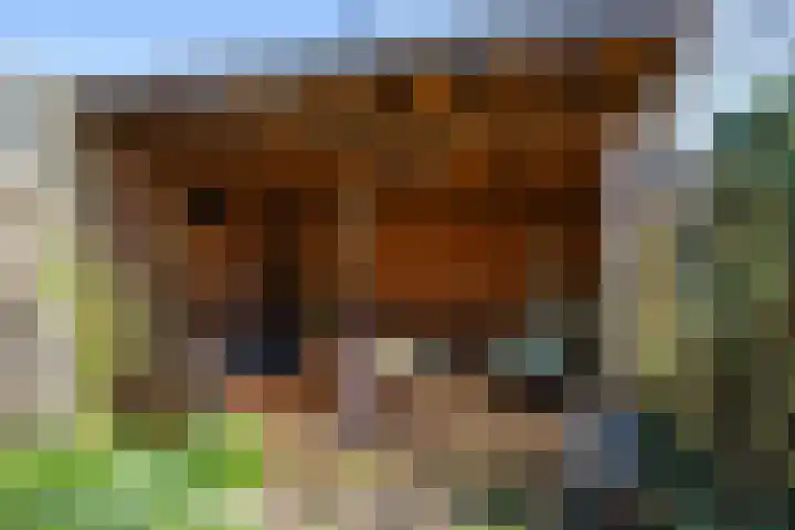 Alpherwetering 8 Waddinxveen thumbnail 38