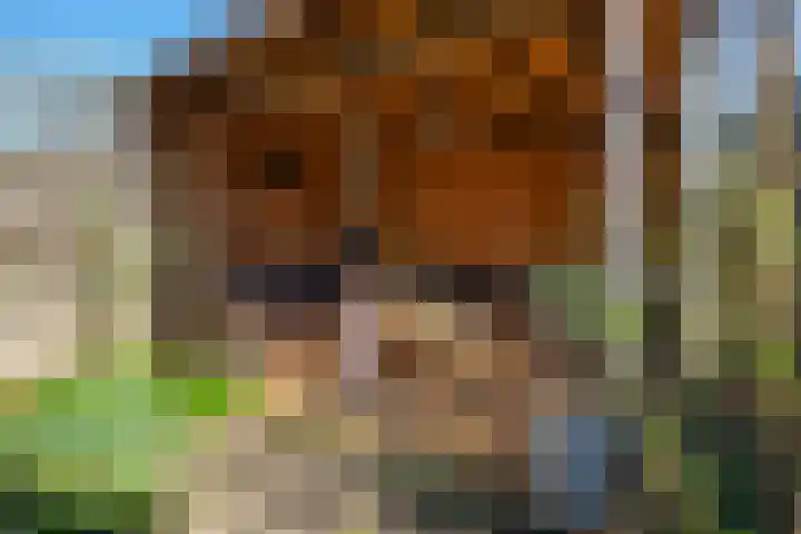 Alpherwetering 8 Waddinxveen thumbnail 39