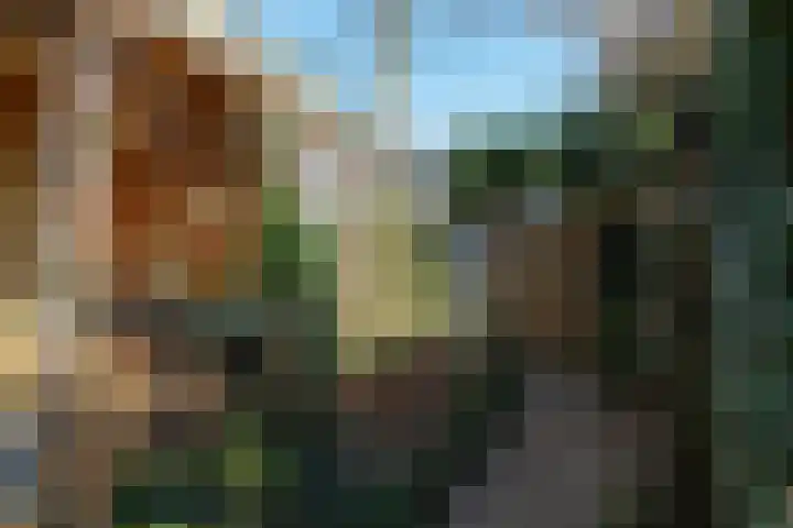 Alpherwetering 8 Waddinxveen thumbnail 40