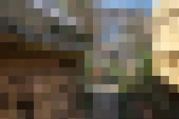 Alpherwetering 8 Waddinxveen thumbnail 41