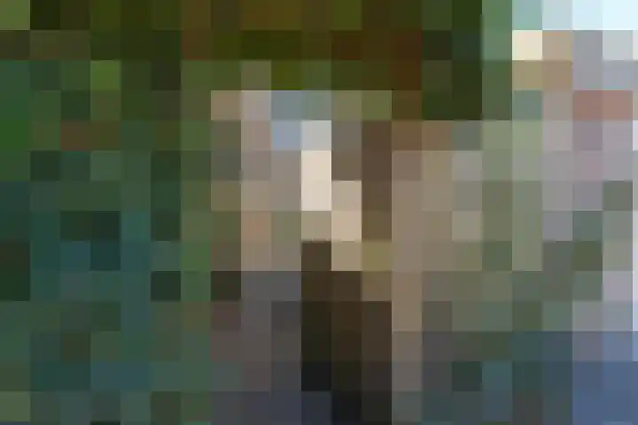 Alpherwetering 8 Waddinxveen thumbnail 43