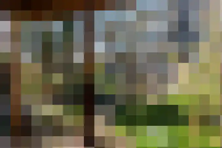 Alpherwetering 8 Waddinxveen thumbnail 44