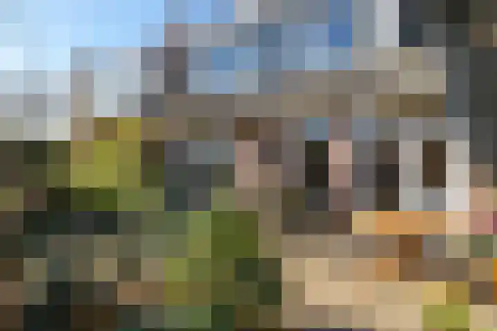 Alpherwetering 8 Waddinxveen thumbnail 45