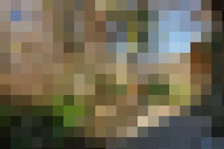 Alpherwetering 8 Waddinxveen thumbnail 46