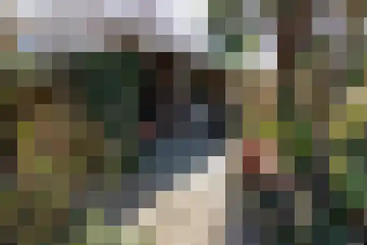 Alpherwetering 8 Waddinxveen thumbnail 47