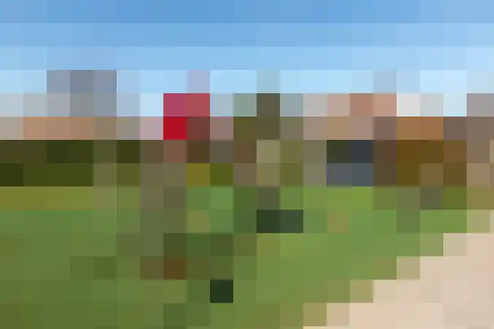 Alpherwetering 8 Waddinxveen thumbnail 48