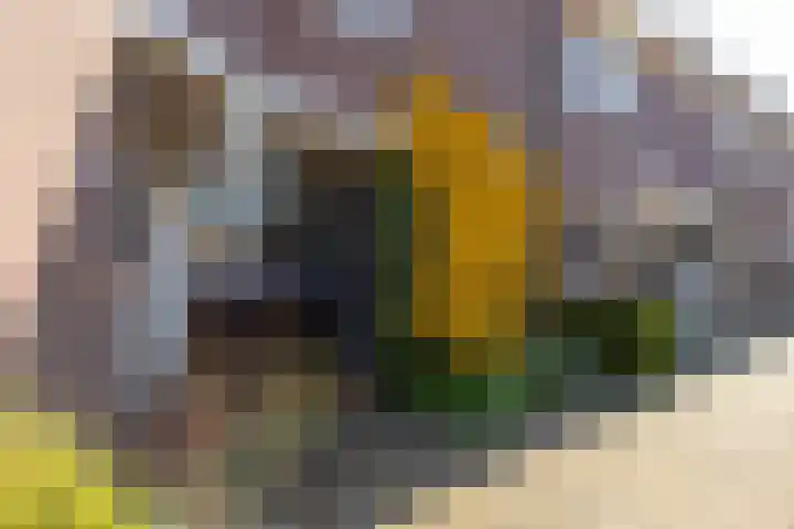 Alpherwetering 8 Waddinxveen thumbnail 49