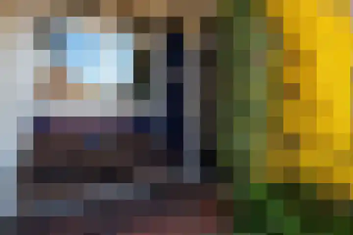 Alpherwetering 8 Waddinxveen thumbnail 5