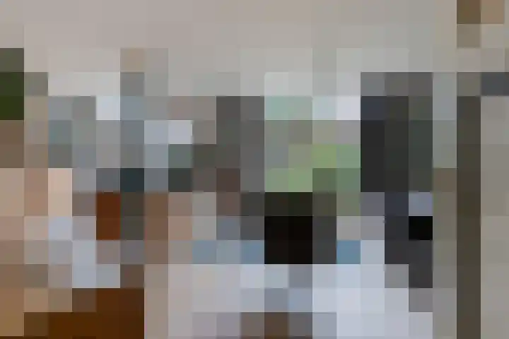 Alpherwetering 8 Waddinxveen thumbnail 6