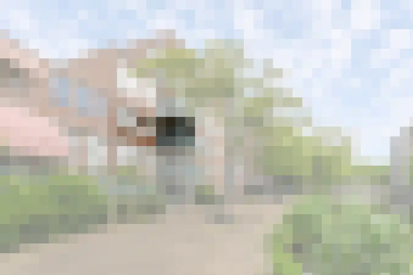 Alphons Ariënsstraat 186 Schiedam thumbnail 5