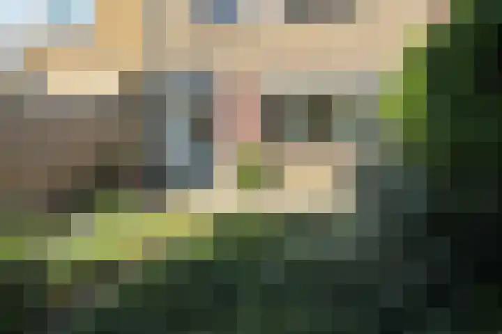 Alphons Ariënsstraat 20 Haarlem thumbnail 9