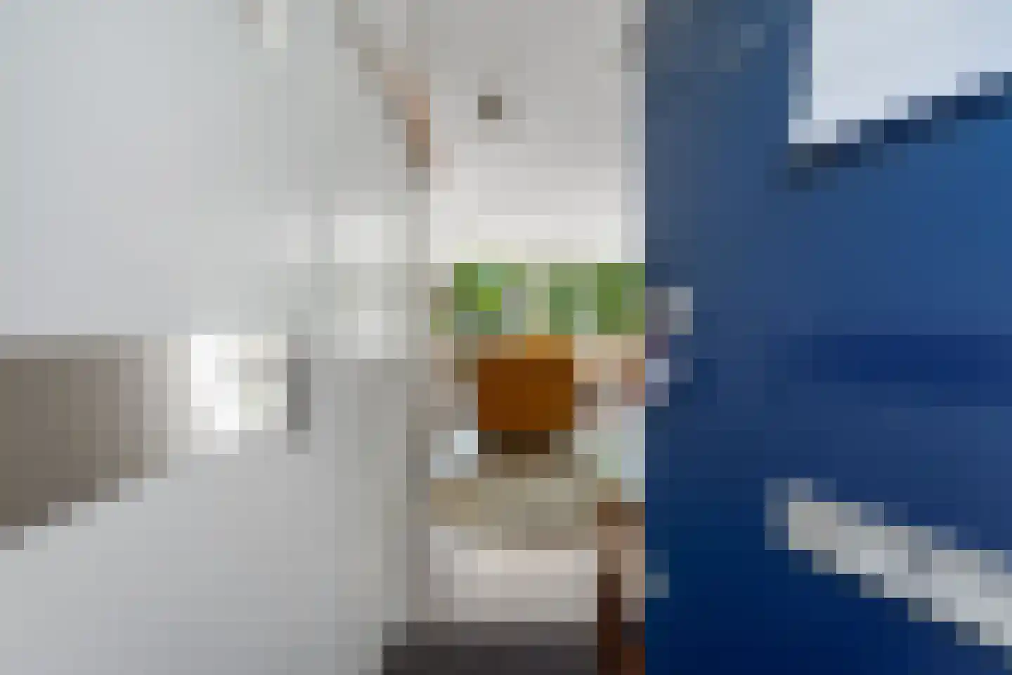 Alphons Diepenbrockhof 12 Den Haag thumbnail 13