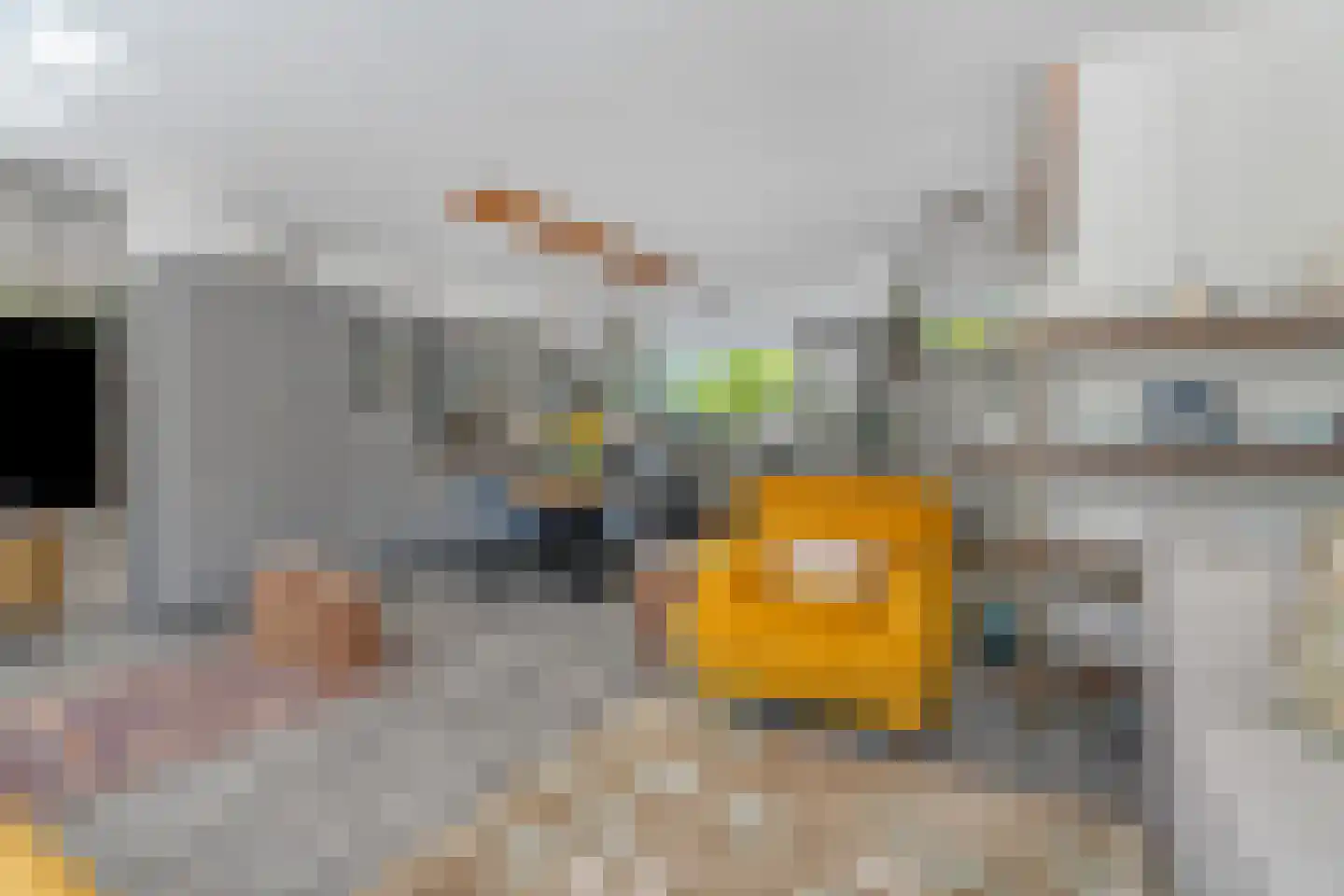 Alphons Diepenbrockhof 12 Den Haag thumbnail 21