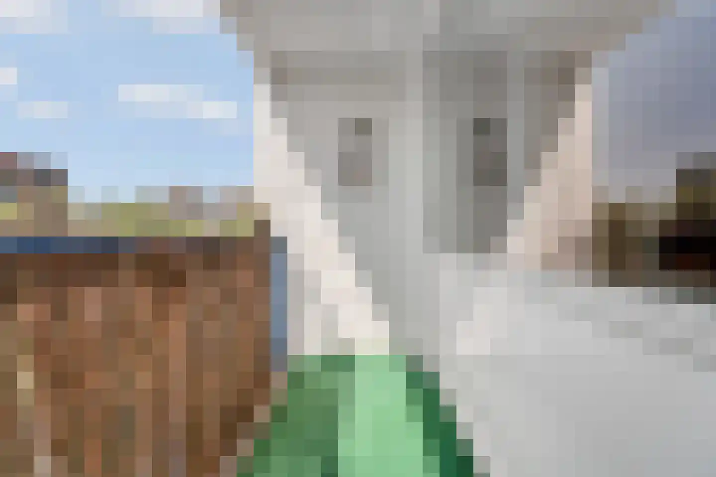 Alphons Diepenbrockhof 12 Den Haag thumbnail 40