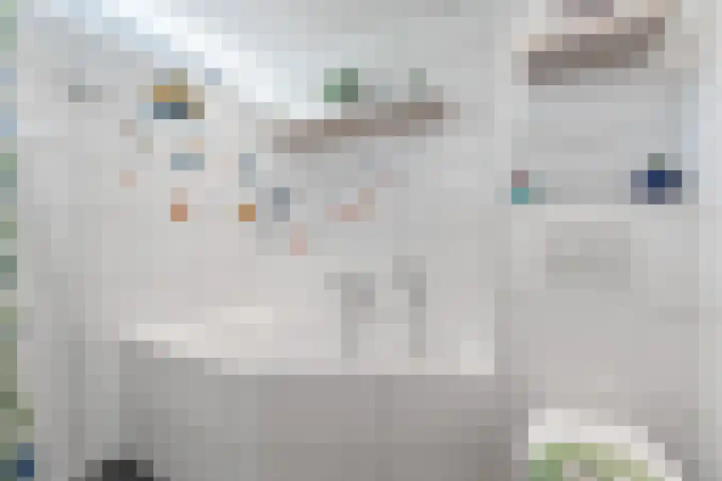 Alphons Diepenbrockhof 12 Den Haag thumbnail 48