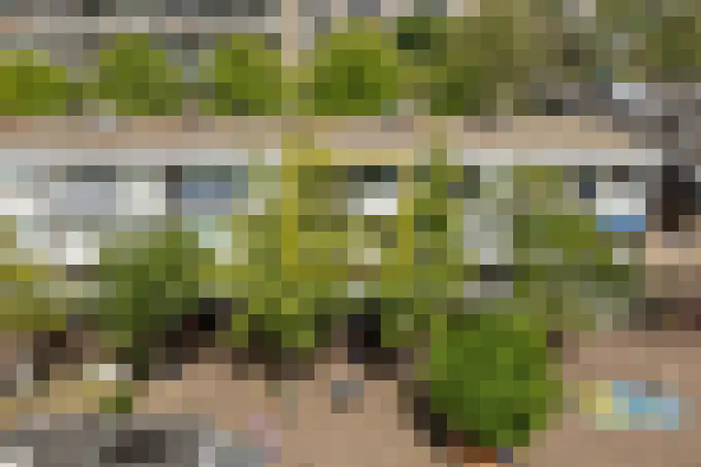 Alphons Diepenbrockhof 12 Den Haag thumbnail 54
