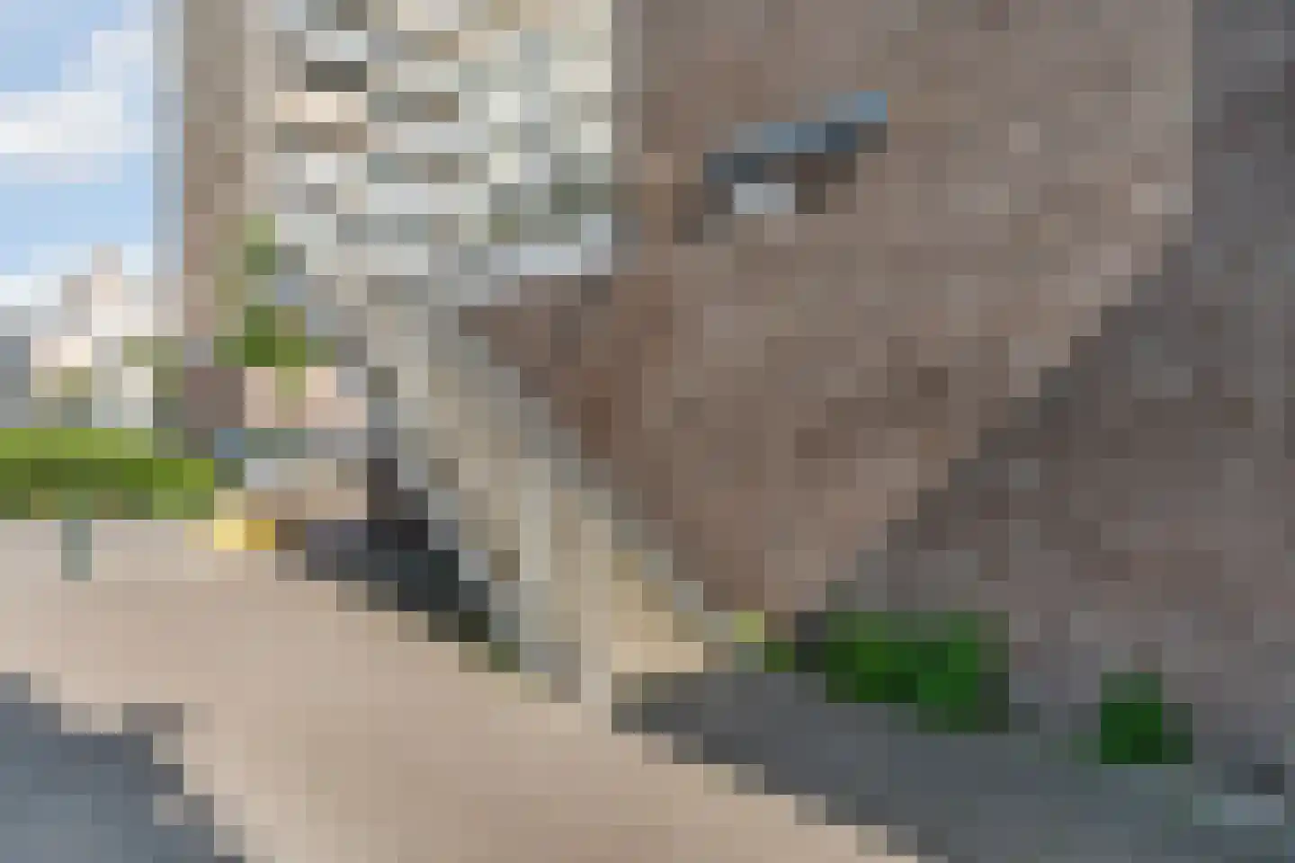 Alphons Diepenbrockhof 12 Den Haag thumbnail 6