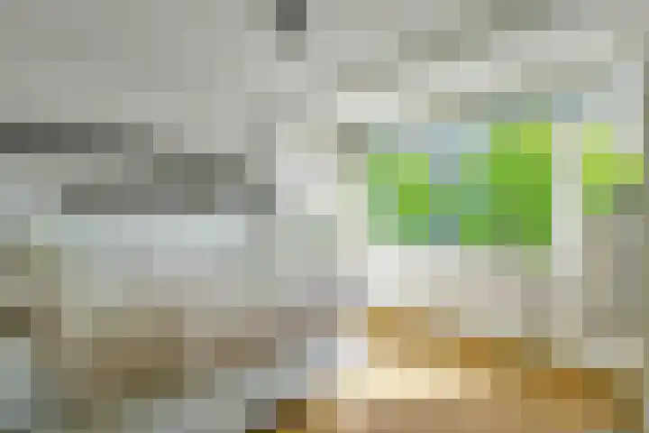 Alphons Diepenbrockhof 13 Den Haag thumbnail 20