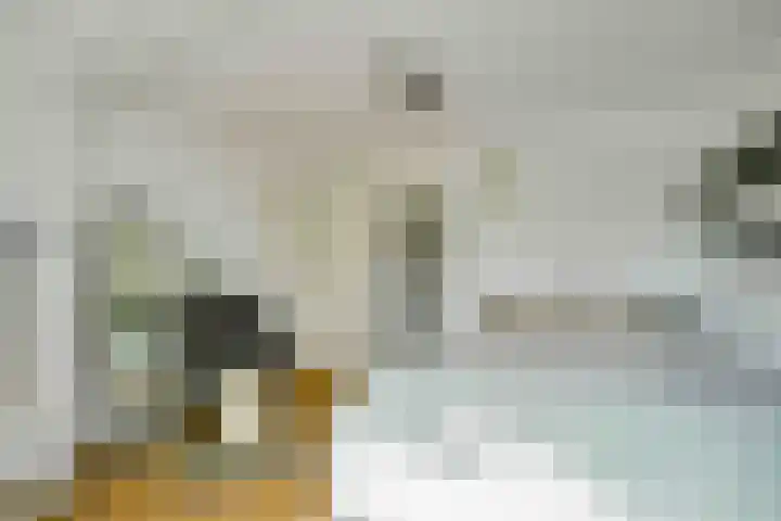 Alphons Diepenbrockhof 13 Den Haag thumbnail 21