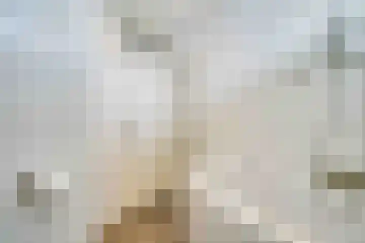 Alphons Diepenbrockhof 13 Den Haag thumbnail 28