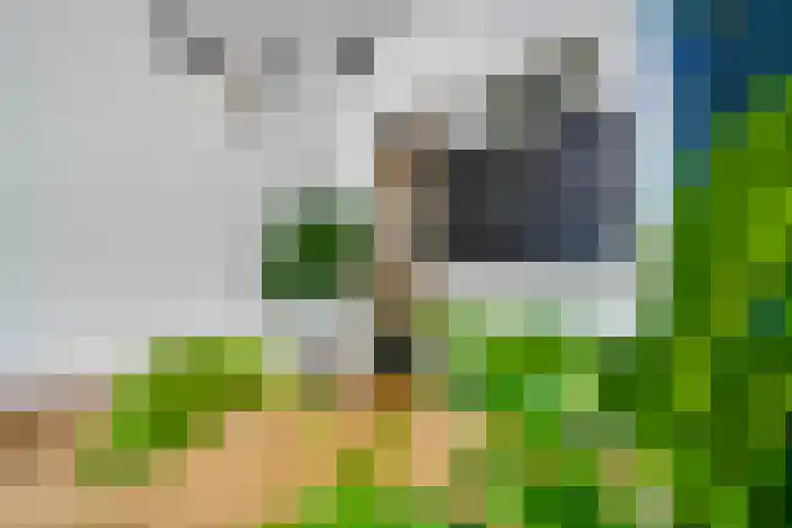 Alphons Diepenbrockhof 13 Den Haag thumbnail 4