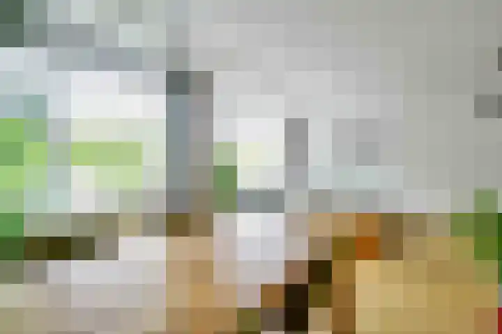 Alphons Diepenbrockhof 13 Den Haag thumbnail 9