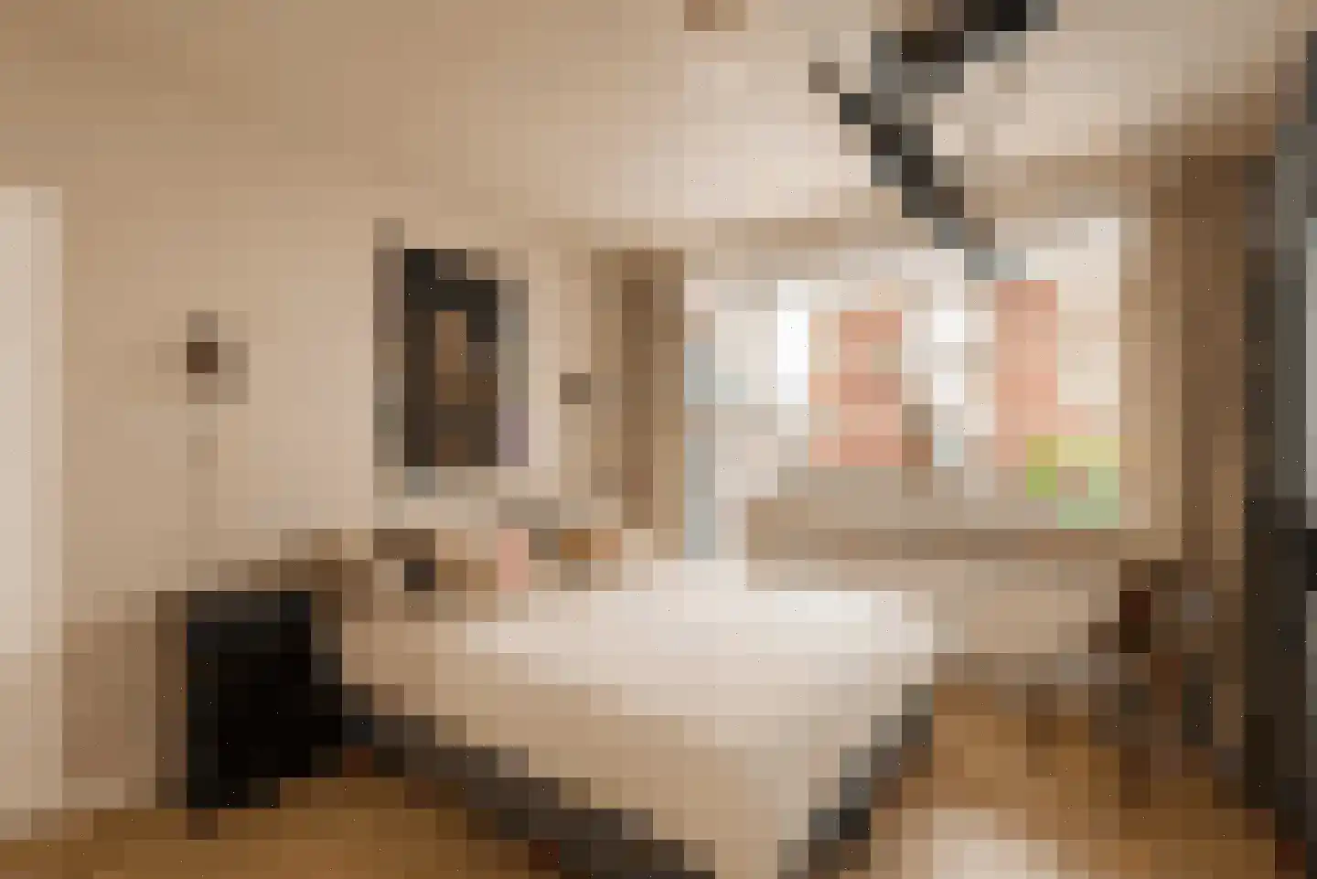 Alphons Diepenbrockhof 50 Den Haag thumbnail 5