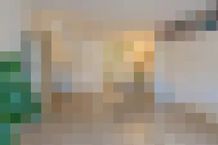 Alphons Diepenbrocksingel 42 Leiderdorp thumbnail 14