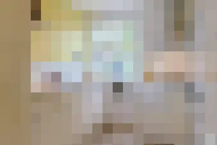 Alphons Diepenbrocksingel 42 Leiderdorp thumbnail 16