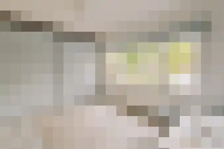 Alphons Diepenbrocksingel 42 Leiderdorp thumbnail 25