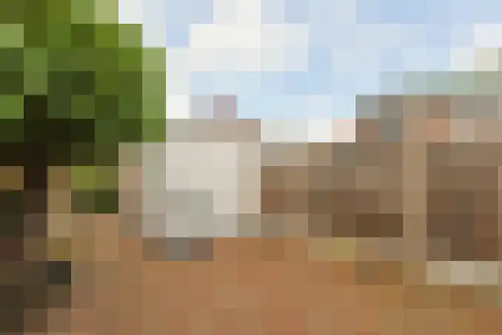 Alphons Diepenbrocksingel 42 Leiderdorp thumbnail 36