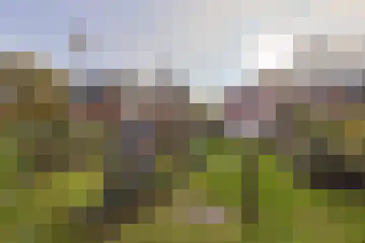 Alphons Diepenbrocksingel 42 Leiderdorp thumbnail 38
