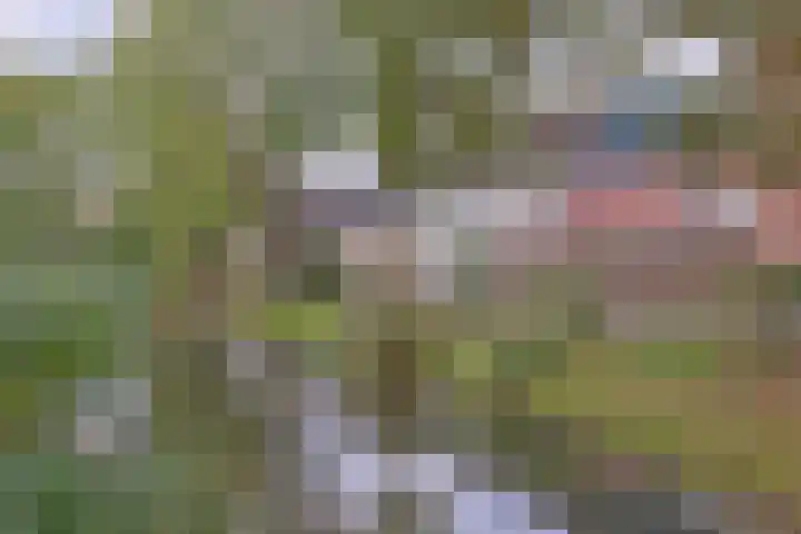 Alphons Diepenbrocksingel 42 Leiderdorp thumbnail 40