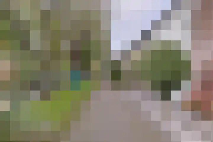 Alphons Diepenbrocksingel 42 Leiderdorp thumbnail 9