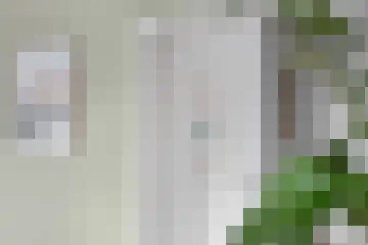 Alphons Diepenbrockstraat 11 B Amersfoort thumbnail 13