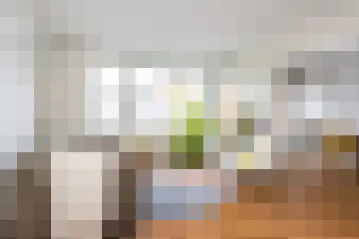 Alphons Diepenbrockstraat 5 B Amersfoort thumbnail 7