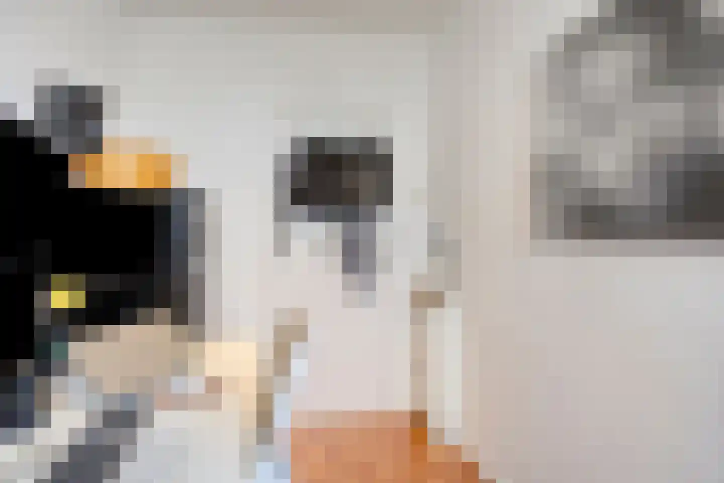 Alphons Diepenbrockstraat 5 D Amersfoort thumbnail 22